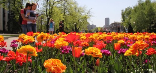 may